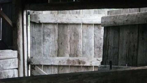 March rd. Farm - Farm-March-rd.-Kanata5.jpg