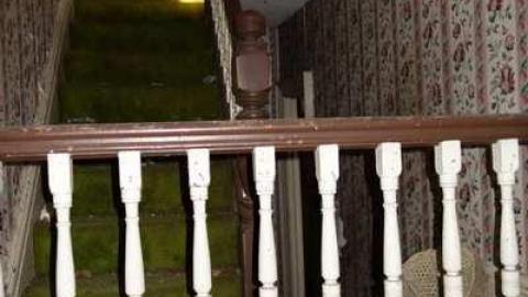 Nov 16/13 - Mt-Wolfe-Farm76.jpg