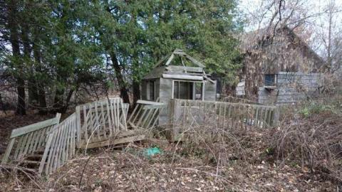 Nov 16/13 - Mt-Wolfe-Farm1.jpg