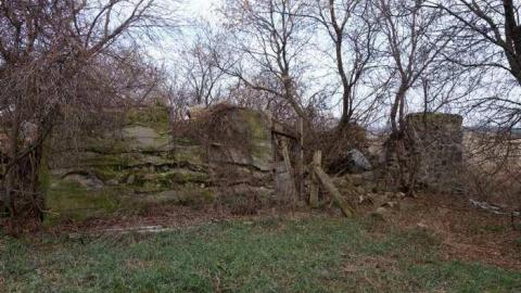 Nov 16/13 - Mt-Wolfe-Farm2.jpg