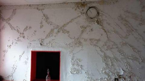 Nov 16/13 - DSC00222.jpg