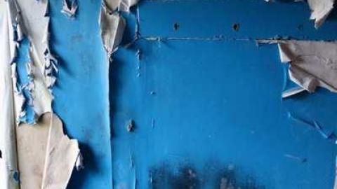 Nov 16/13 - DSC00273.jpg