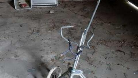 Nov 16/13 - DSC00323.jpg