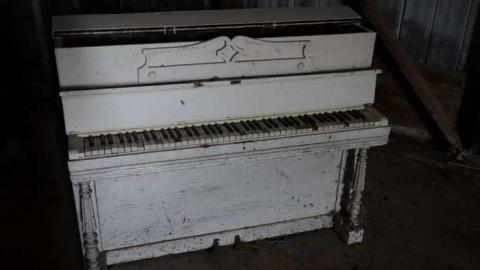 Nov 16/13 - wyDSC00327.jpg