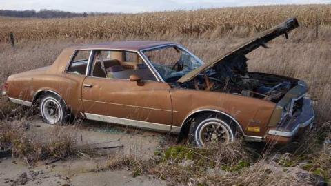 Nov 16/13 - DSC00350.jpg