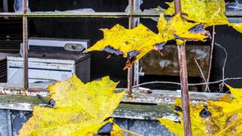 Horror & Hearsay of Oxbow Rd photo 4