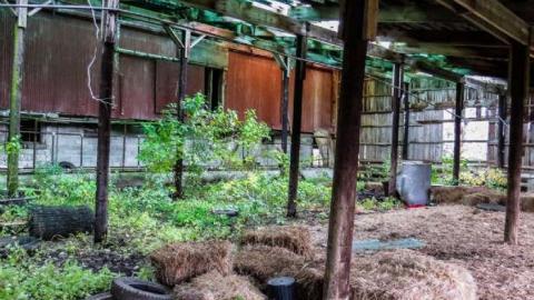 Old Bow Park Sub-Farm - 16 - IMG_7771-2-2.jpg