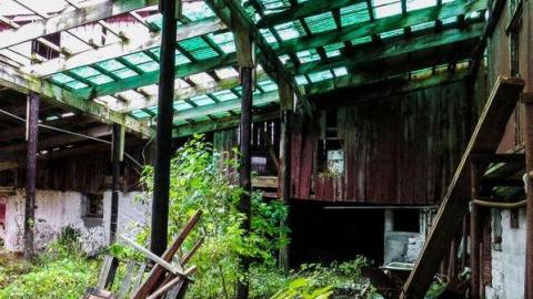 Old Bow Park Sub-Farm - 17 - IMG_7776-2.jpg