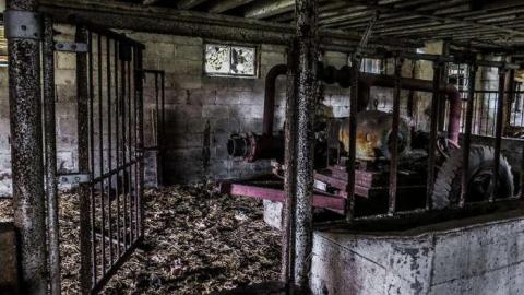 Old Bow Park Sub-Farm - 20 - IMG_7778-2.jpg