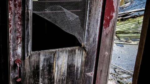 Old Bow Park Sub-Farm - 23 - IMG_7786-2.jpg