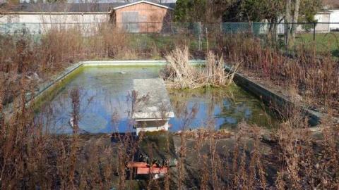 Nov 23/13 - Grand-Inn33.jpg