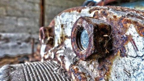 Photo from Oxford Farm