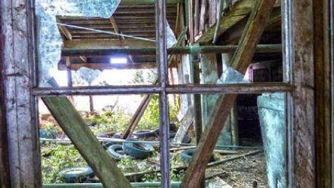 Photo from Oxford Farm