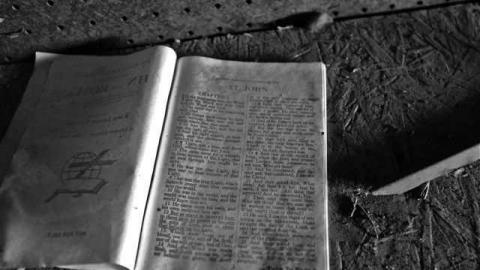 Early Dec 2013 - DSCF3184.jpg