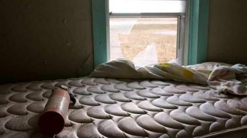 Early Dec 2013 - DSCF3191.jpg