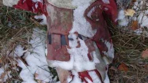 Nov 24/13 - DSC01471.jpg