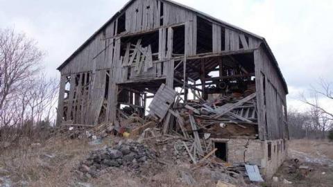 Nov 24/13 - DSC01487.jpg