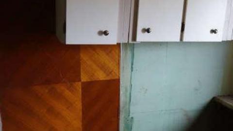 Adams Fancy Vent House photo 5