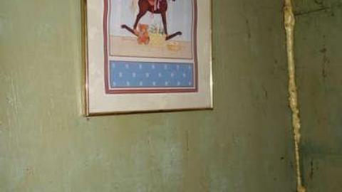 Dec 7/13 - DSC01861.jpg