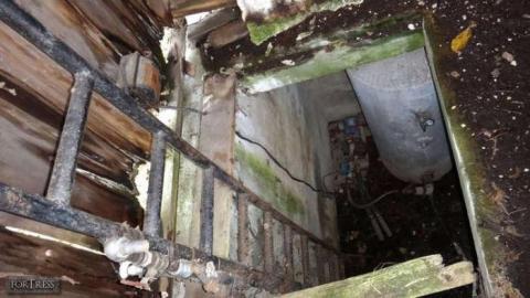 Painted - Painted5.jpg