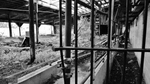 Painted - Painted9.jpg