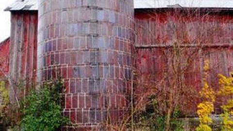 Painted - Painted12.jpg