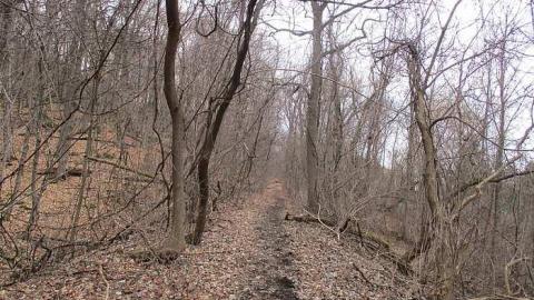 Going Batty! - Queenston-Quarry-Mine-Entry4.jpg