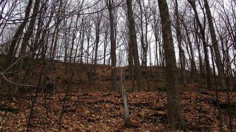 Going Batty! - Queenston-Quarry-Mine-Entry5.jpg