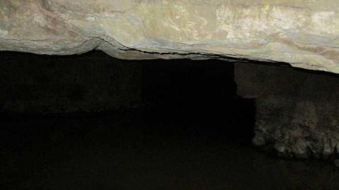 Photo from Going Batty!