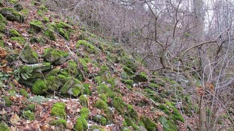 Going Batty! - Queenston-Quarry-Mine-Entry19.jpg