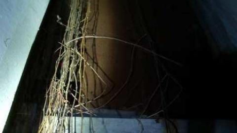 dec 2013 - Victory-Soy-Mills48.jpg