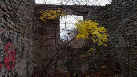 2013 visit - Hyde-Mill-Ruins-(Streetsville)20.jpg