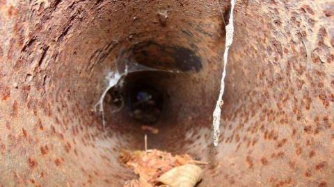 2013 visit - Hyde-Mill-Ruins-(Streetsville)22.jpg