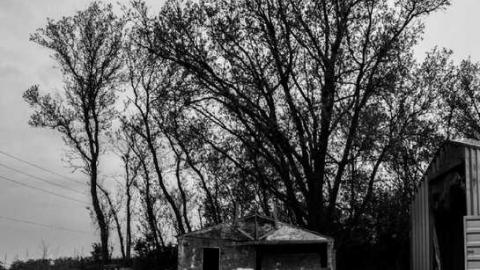 Summer 2013 - DSC_7377.jpg