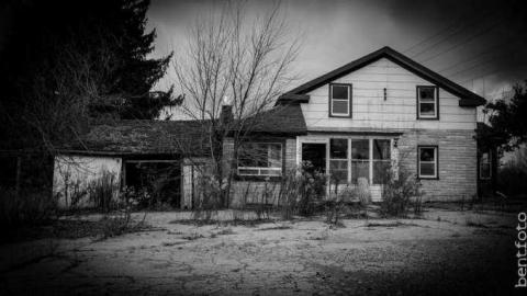 Dec 2013 - DSC_5535.jpg