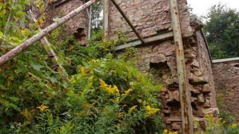 late summer 2013 - The-Hermitage53.jpg