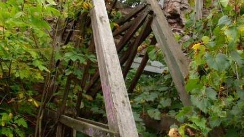 Photo from late summer 2013