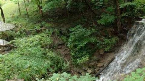 late summer 2013 - The-Hermitage61.jpg