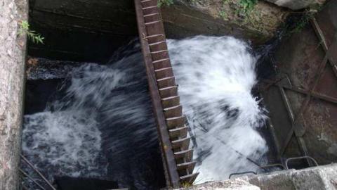 fall 2013 cover photo