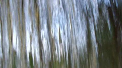 Photo from fall 2013