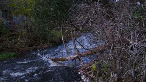 Photo from fall 2013