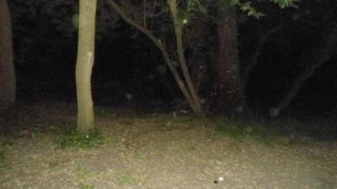 mill at night and forest - German-Woolen-Mill41.jpg