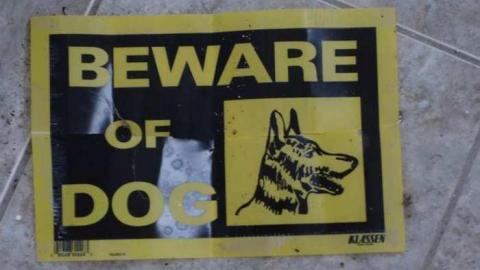 Dec 7/13 - DSC02057.jpg