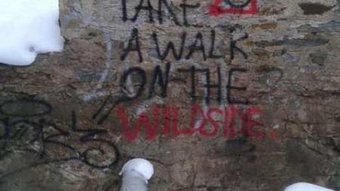 December 2013 - Hyde-Mill-Ruins-(Streetsville)112.jpg