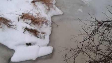 December 2013 - Hyde-Mill-Ruins-(Streetsville)121.jpg