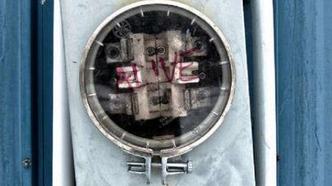 Photo from Guard dogs