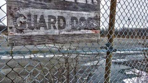 Photo from Guard dogs