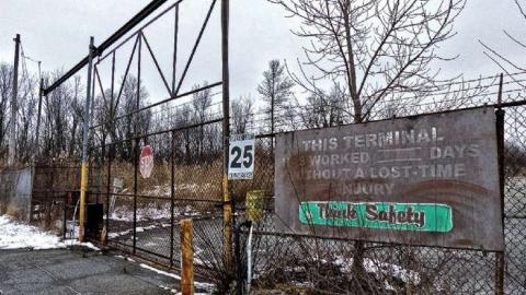 Guard dogs - Nothing-Too-Special8.jpg