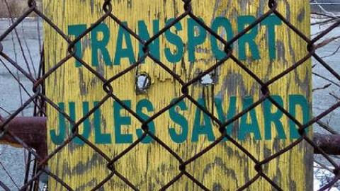 Guard dogs - Nothing-Too-Special9.jpg