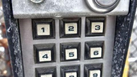 Guard dogs - Nothing-Too-Special4.jpg